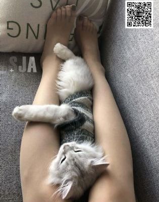 美丽小蜜桃在线_4K在线观看完整版